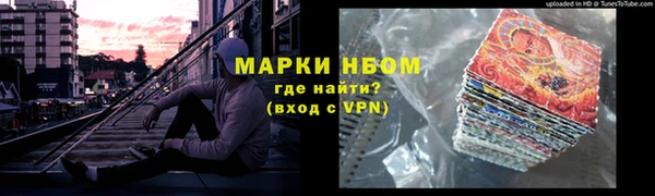 стафф Новозыбков