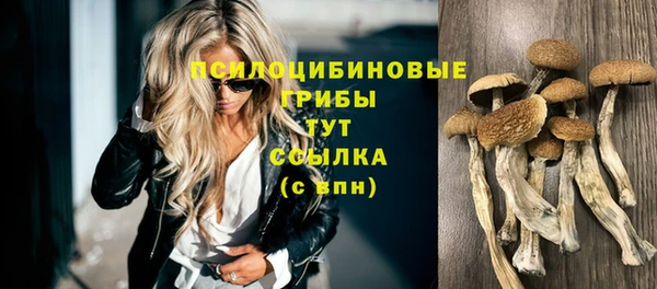 мескалин Новокубанск