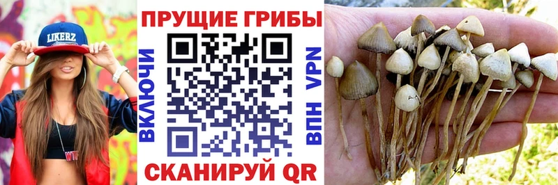Галлюциногенные грибы Magic Shrooms  дарнет шоп  Южа 